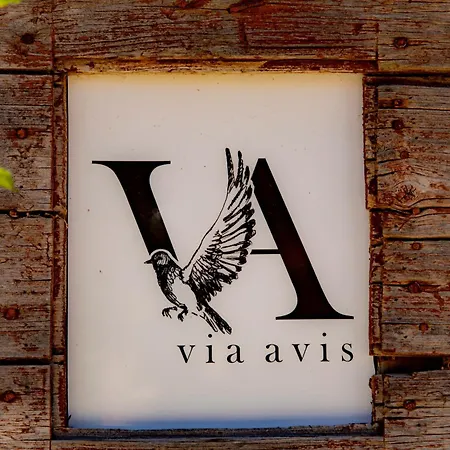 Via Avis * Santa Catalina de Somoza