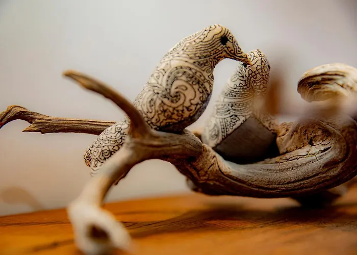 Via Avis Santa Catalina de Somoza